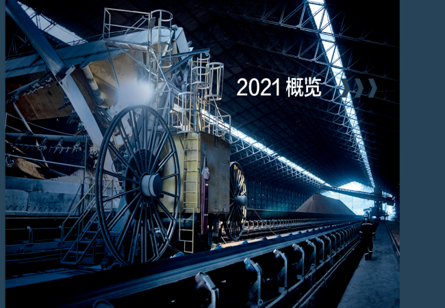 斯凯孚2021年财报宣布