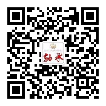 转动轴承疲劳失效形式和抗疲劳要领-洛阳轴承