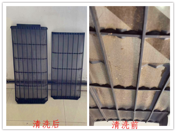 细密部件一支部一连开展“我为群众办实事”实践运动-洛阳轴承
