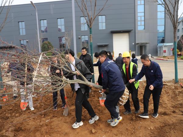 雷锋自愿添新绿 春日植树正其时-洛阳轴承
